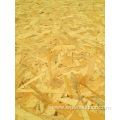 OSB OLB wood panel for building